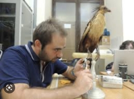 Incontro di scienze con il Dott. Balestrieri: il fascino dell'ornitologia